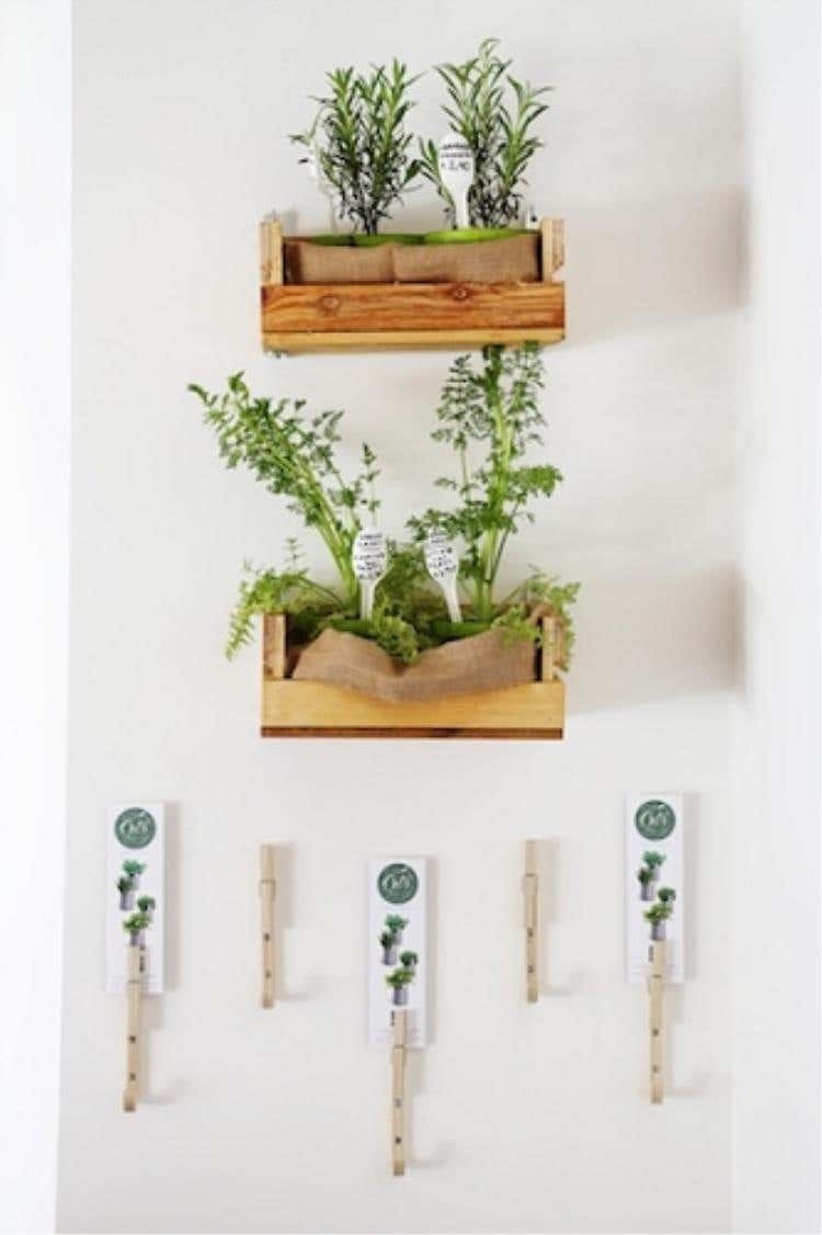 Foto 19