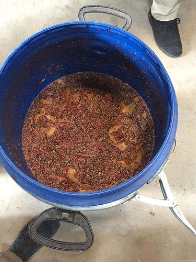 I mirtilli in infusione nell'alcol