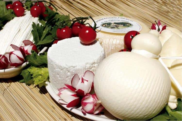 Formaggi tipici