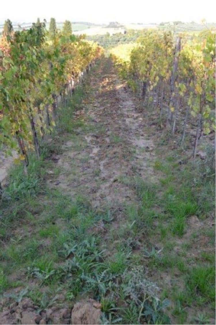 Foto 30