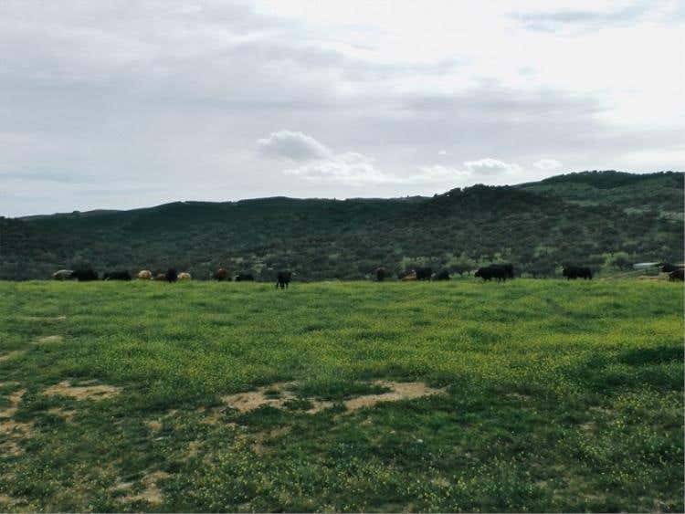 Foto 17