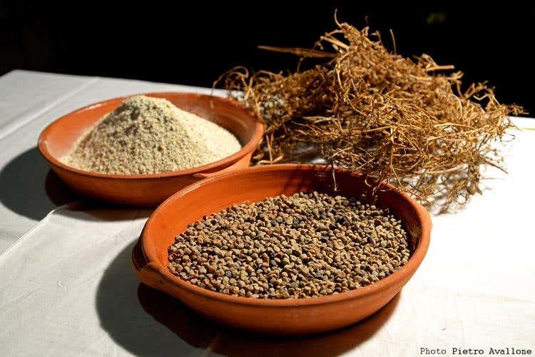 Maracuoccio di Lentiscosa - foto Pietro Avallone