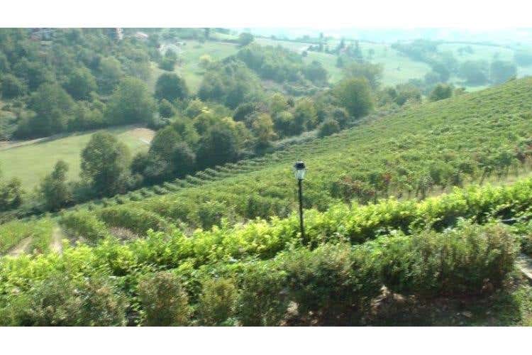 Poggio Ridente