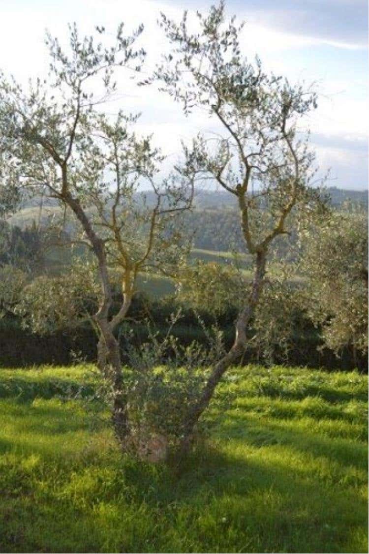 Foto 34