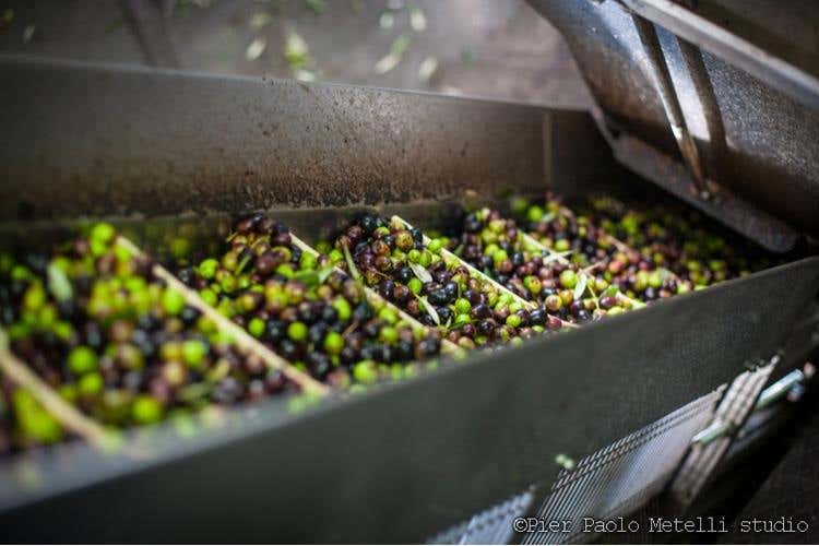 Credito foto: Pier Paolo Metelli studio