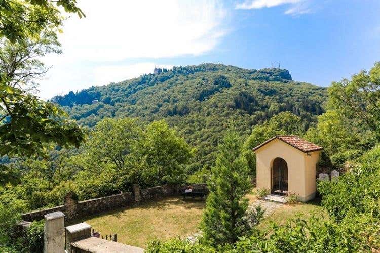 Foto 41