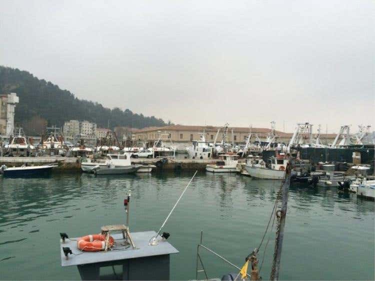 Foto 15