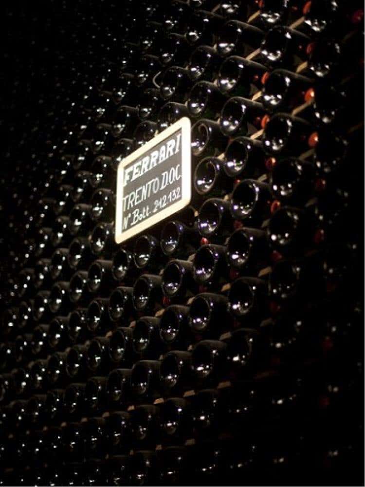 bottiglie in Cantina