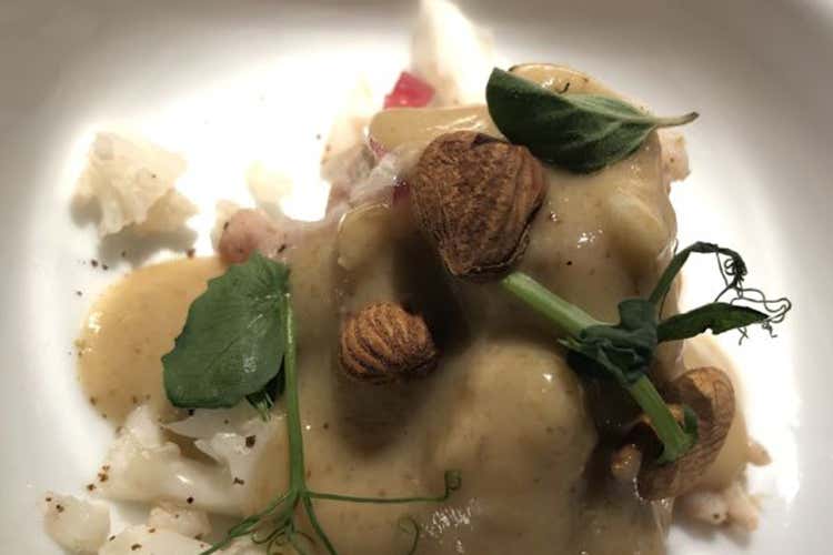 Tonno di coniglio (“A cena con il panettone” A Firenze gran final del tour