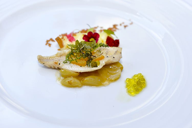 I piatti: il Filetto di persico con erbe fritte di Angelo Doriani, a cui è stato aggiunto lo zabaione salato by Mauro Elli 