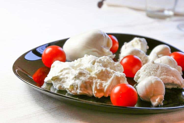 (A Loreto battono due cuori pugliesi 
La Lanterna vale una sosta)