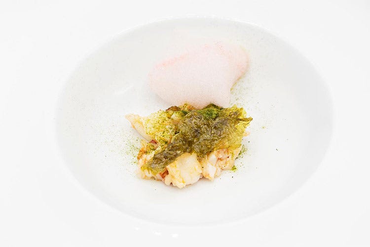 Ceviche di astice e alghe in diverse consistenze (Accademia Chef’s, allievi in cucina 
Un menu che fa il giro del mondo)
