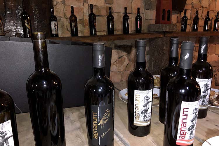 (Agnanum, amore per la vite 
Dai terrazzamenti alla bottiglia)