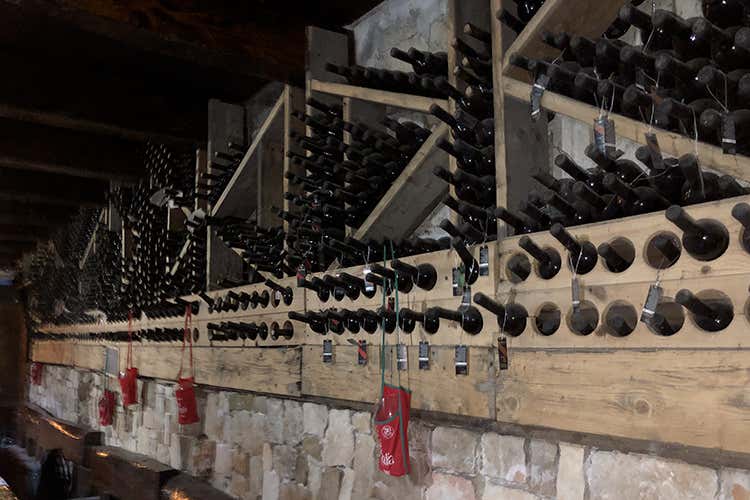 (Agnanum, amore per la vite 
Dai terrazzamenti alla bottiglia)