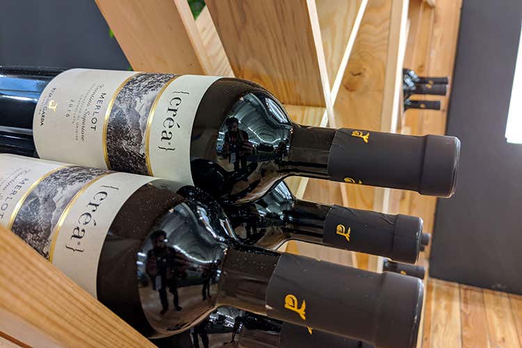 (Agraria Riva del Garda 
Con vino e olio si esalta il territorio)