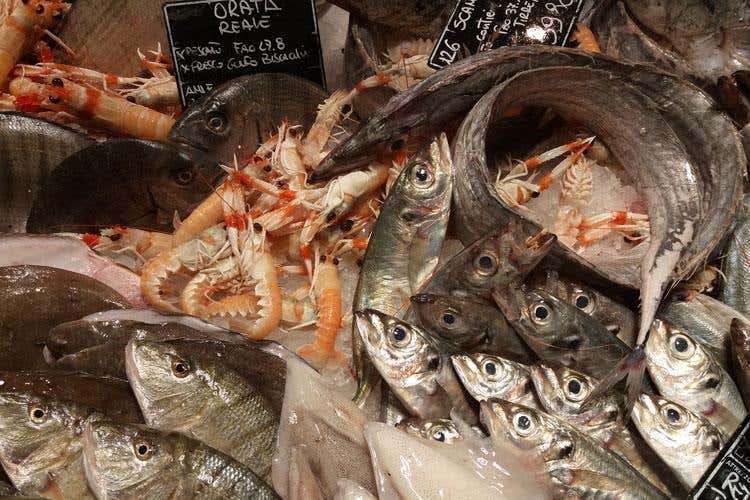 (Al Red Fish di Ostia arriva il sushi )