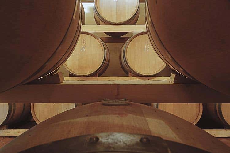 (Alessandro di Camporeale 
Vitigni autoctoni tra Etna e Palermo)