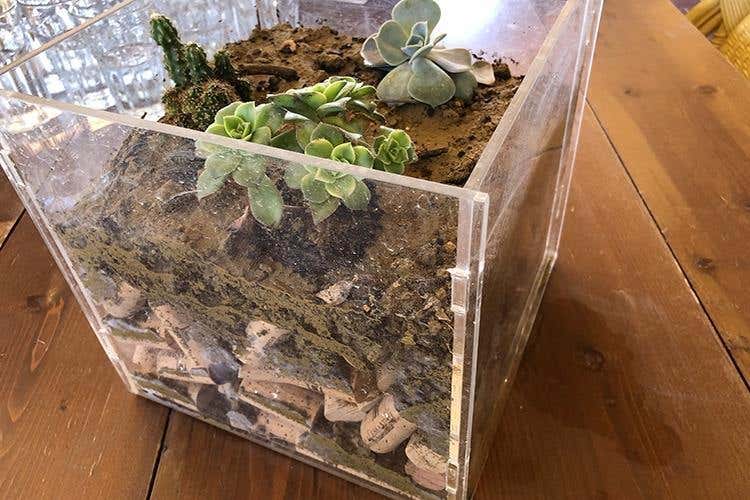 (Alessandro di Camporeale 
Vitigni autoctoni tra Etna e Palermo)