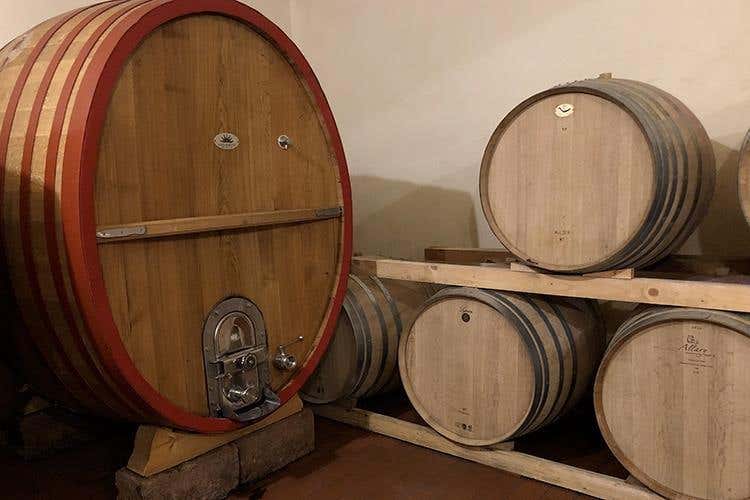 (Alessandro di Camporeale 
Vitigni autoctoni tra Etna e Palermo)