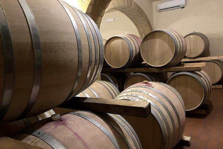 (Alessandro di Camporeale 
Vitigni autoctoni tra Etna e Palermo)