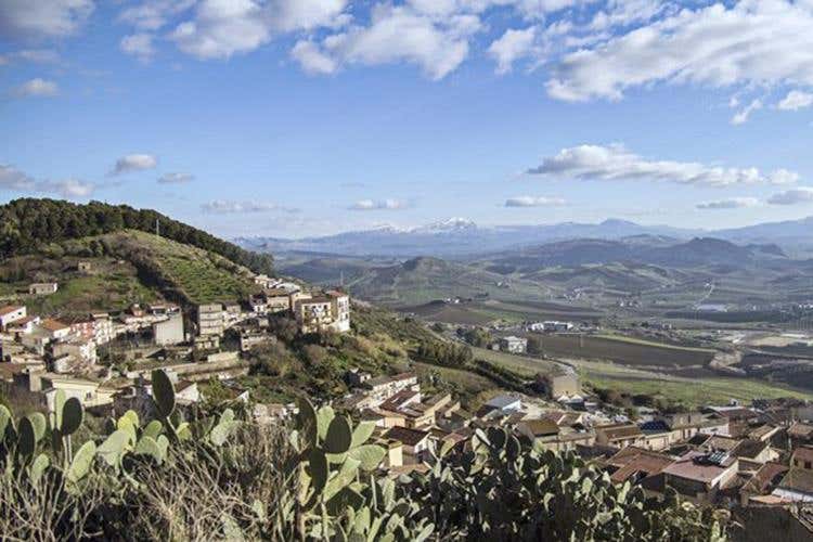 (Alessandro di Camporeale 
Vitigni autoctoni tra Etna e Palermo)
