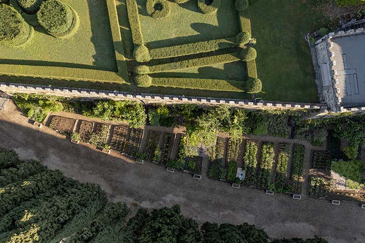L'orto dell'Osteria di Passignano nell'Abbazia. 