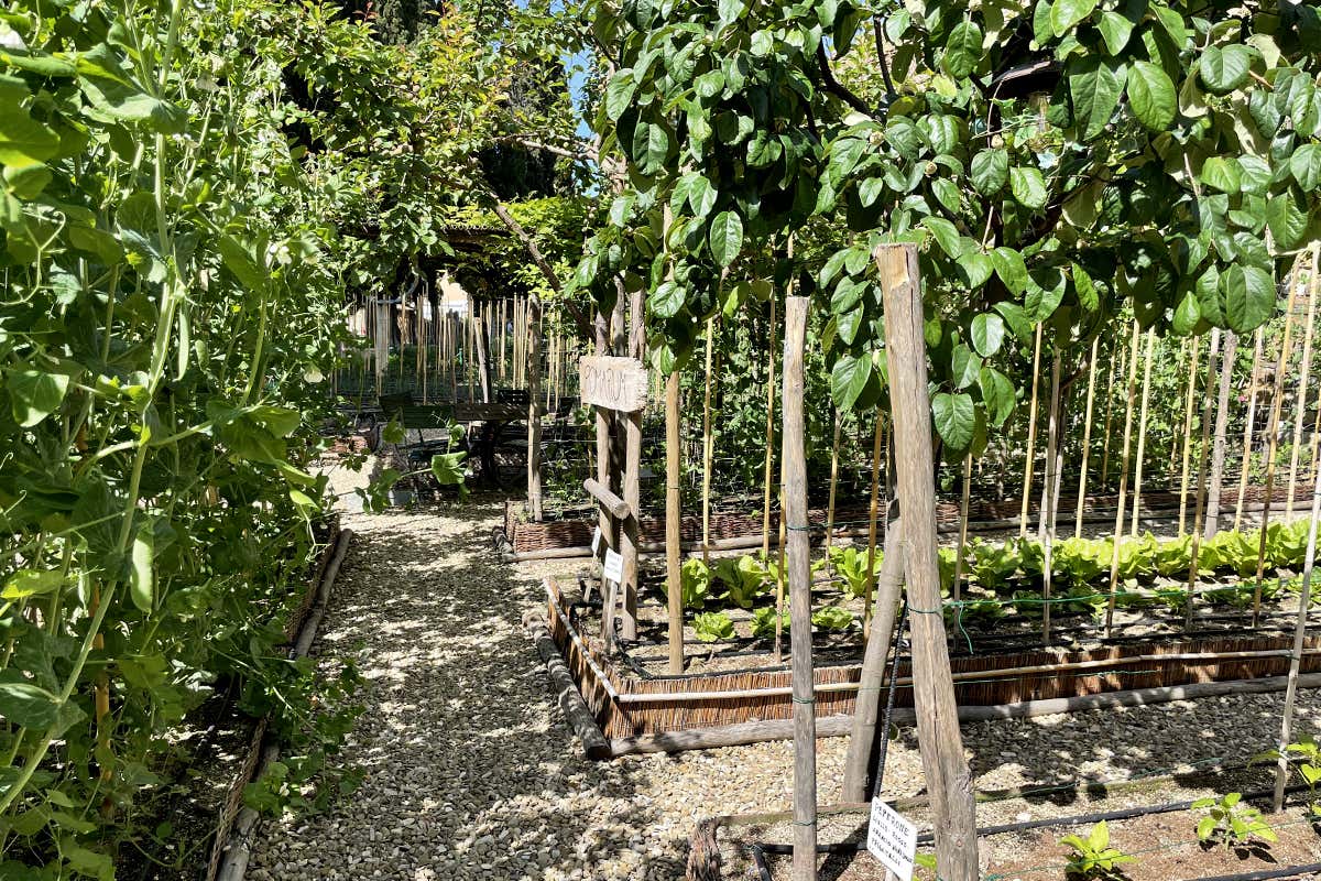 L'orto dell'Osteria di Passignano nell'Abbazia. 