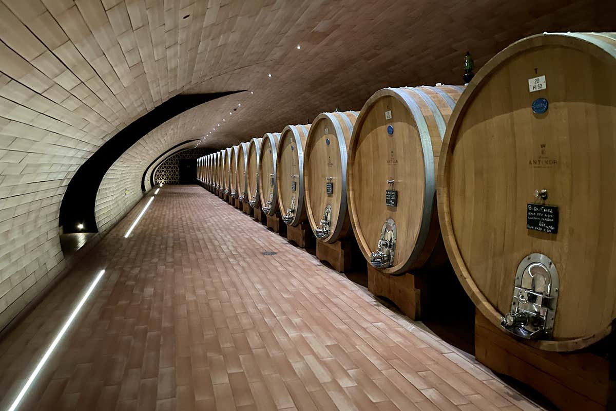 (All'Osteria di Passignano 
genuinità toscana a metro zero)