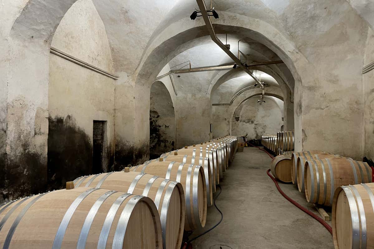Una delle cantine dove affinano le Riserve del Chianti di Marchesi Antinori nell'Abbazia di Passignano