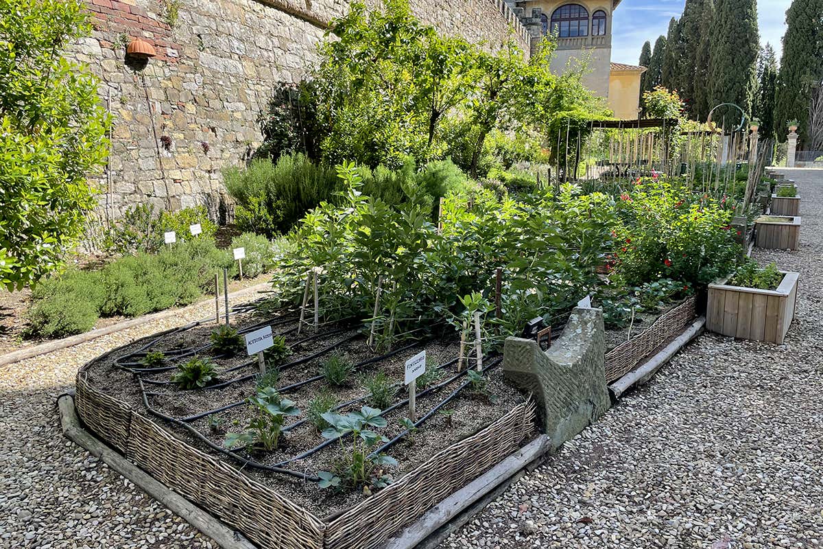 L'orto dell'Osteria di Passignano nell'Abbazia. 