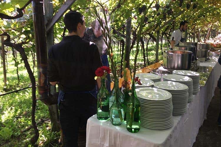 (Alto Adige Wine Summit 
Il Consorzio ha preso la strada giusta)