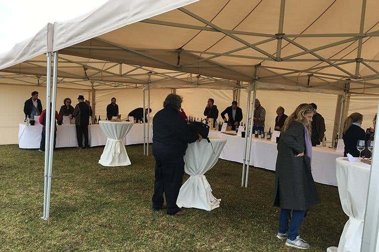 Degustazione dei vini di Wine Summit sull'Alpe di Siusi (Alto Adige Wine Summit 
Il Consorzio ha preso la strada giusta)