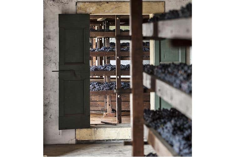 (Amarone Classico Bertani, 50 vendemmie 
e il ritorno dell'annata storica 1967)