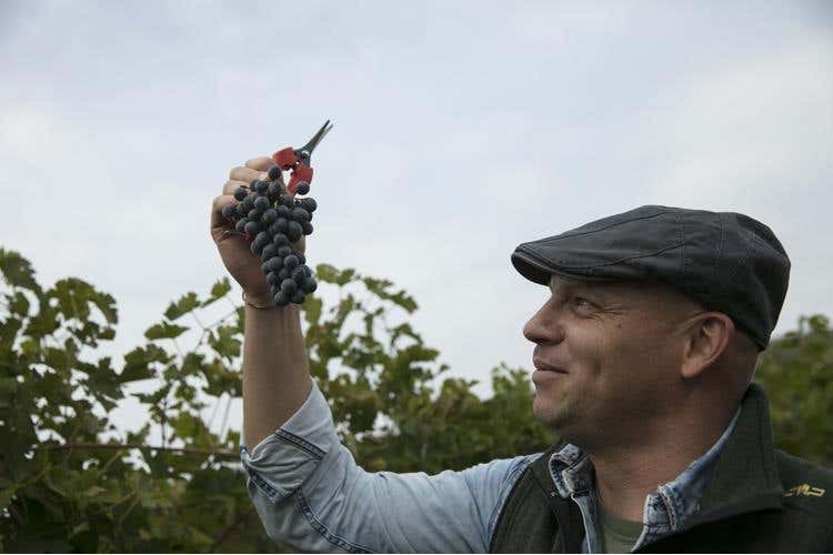 (Amarone Fieramonte Allegrini 
Il ritorno di una grande Riserva)