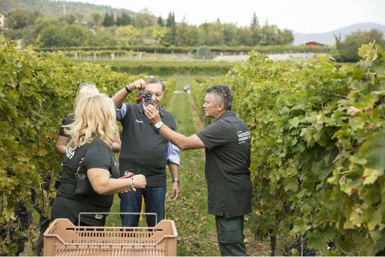 (Amarone Fieramonte Allegrini 
Il ritorno di una grande Riserva)