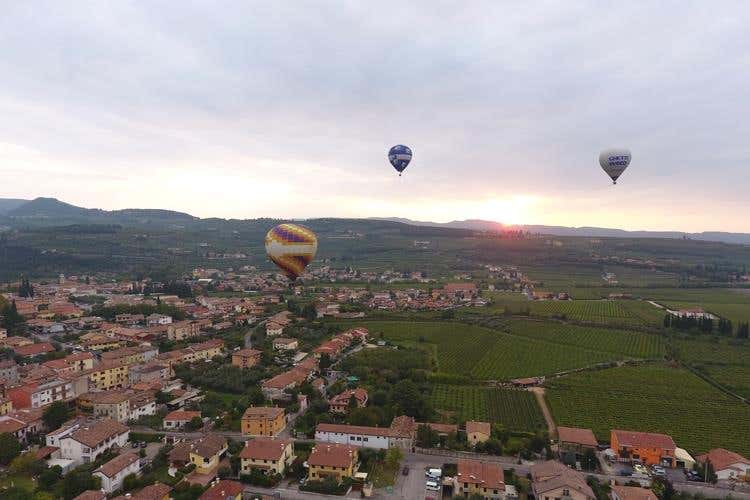 (Amarone Fieramonte Allegrini 
Il ritorno di una grande Riserva)