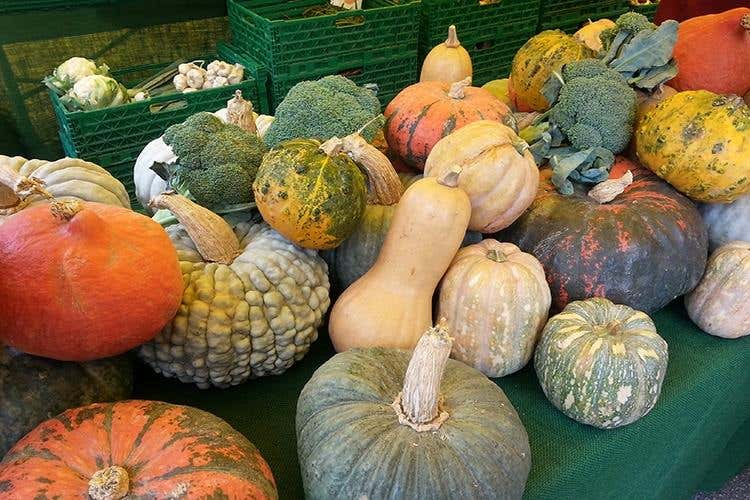 (Asiago Foliage 
Appuntamento imperdibile)