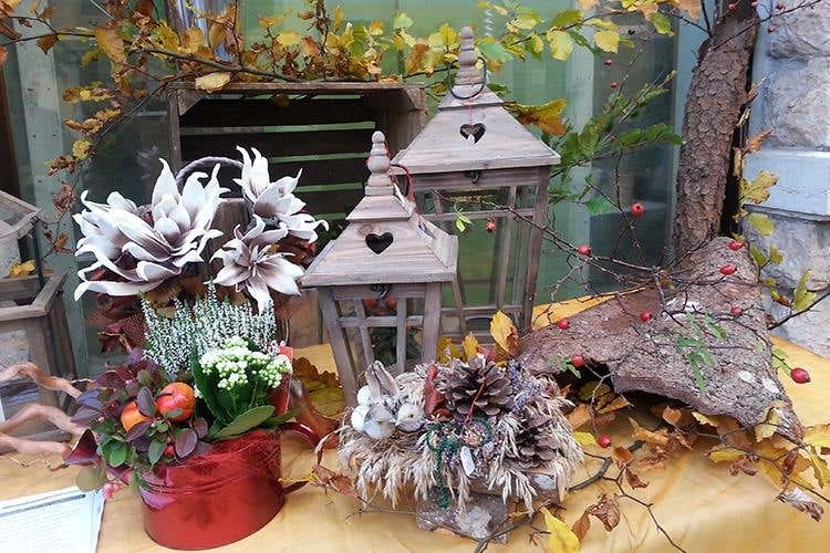 (Asiago Foliage 
Appuntamento imperdibile)