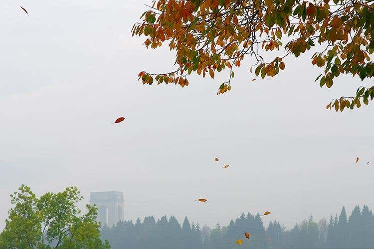 (Asiago Foliage 
Appuntamento imperdibile)