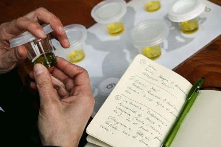 Assegnati sul lago di Garda i Leoni d’Oro dell’olio extravergine