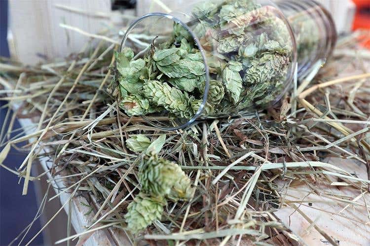 Beer Attraction brinda al successo 
20mila i visitatori, +42% rispetto al 2016
