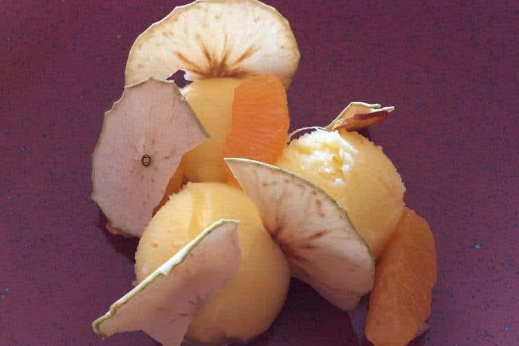 Sorbetto al mandarino (Bergamo, apre One Love Restaurant 
Nel menu una Cucina italiana moderna)