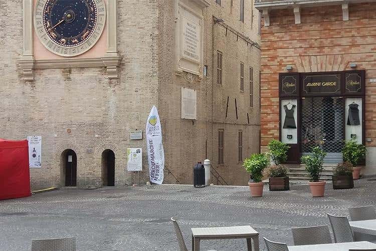 Bio per amore al Terroir Marche Festival 
Tra vini d'Oltralpe e tipicità a tavola