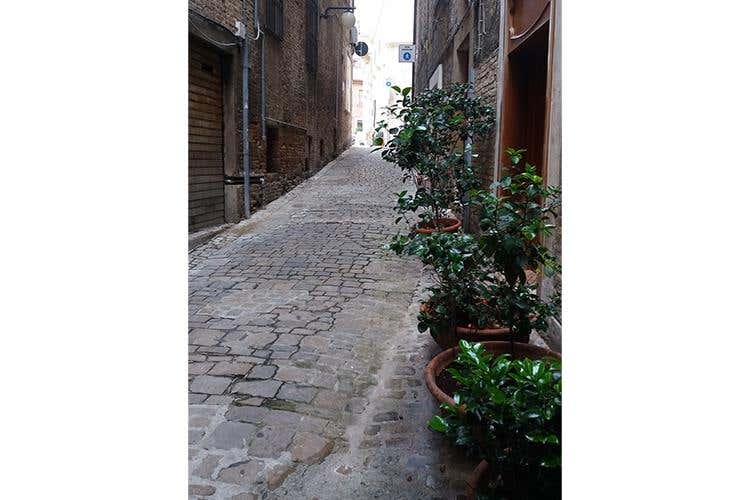 Bio per amore al Terroir Marche Festival 
Tra vini d'Oltralpe e tipicità a tavola