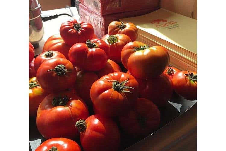 Biodiversità, razze e colture antiche 
Oltre 30mila presenze al Rural Festival