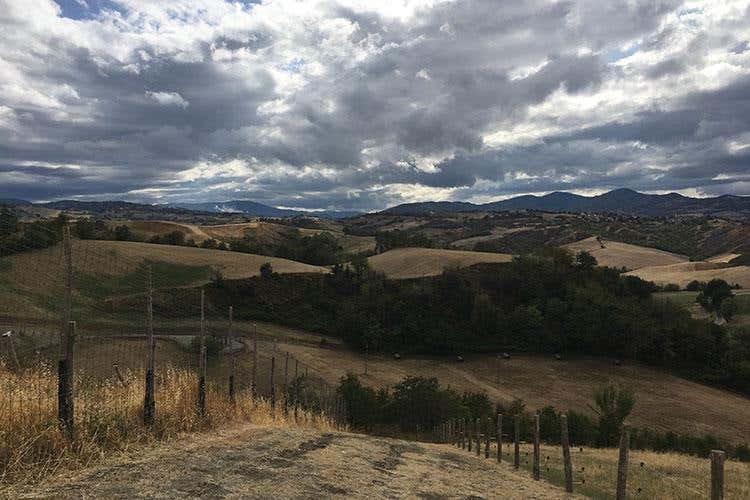 Biodiversità, razze e colture antiche 
Oltre 30mila presenze al Rural Festival