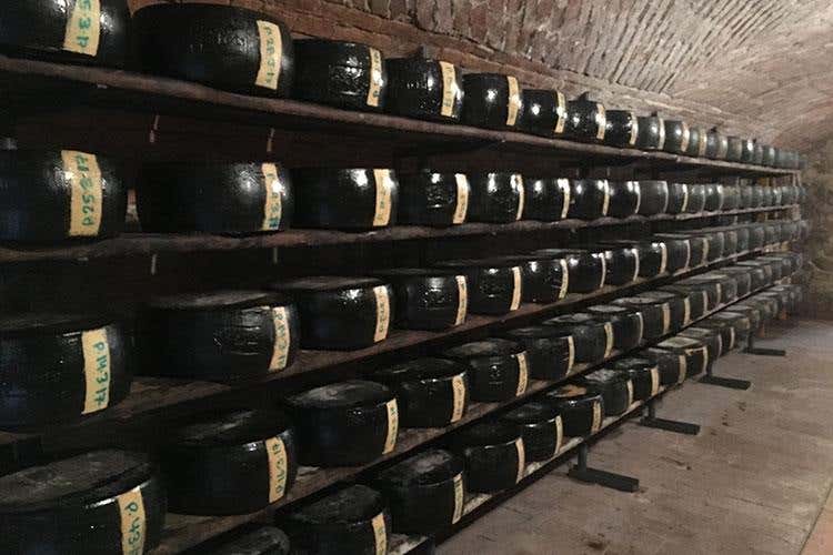 Biodiversità, razze e colture antiche 
Oltre 30mila presenze al Rural Festival