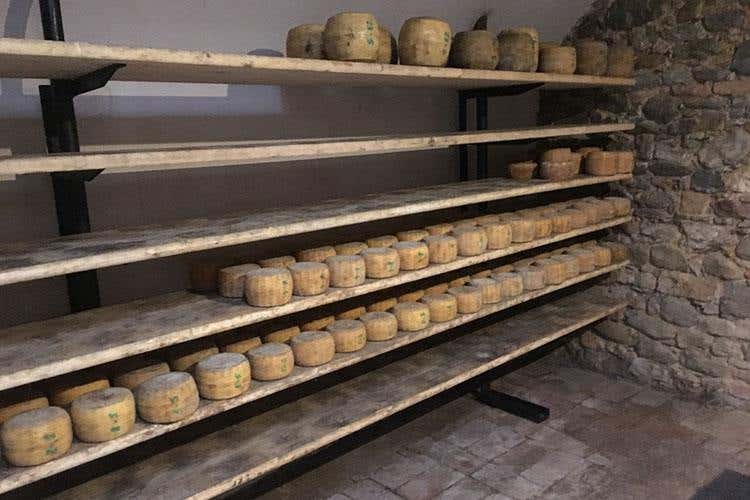 Biodiversità, razze e colture antiche 
Oltre 30mila presenze al Rural Festival