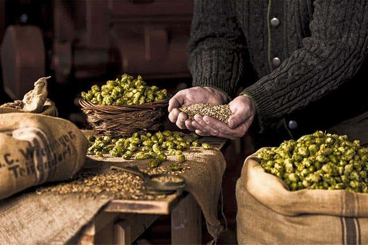 (Birrificio Wieninger a Teisendorf 
Un progetto ecosostenibile)