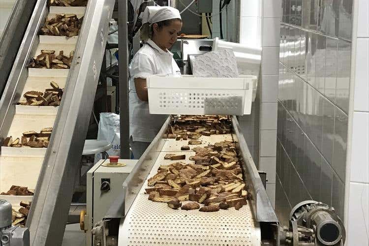 (Biscottificio Antonio Mattei 
Semplicità e tradizione dal 1859)